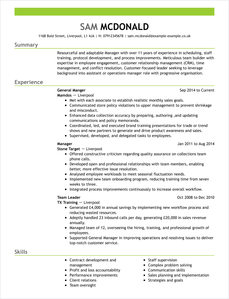 sales manager cv template