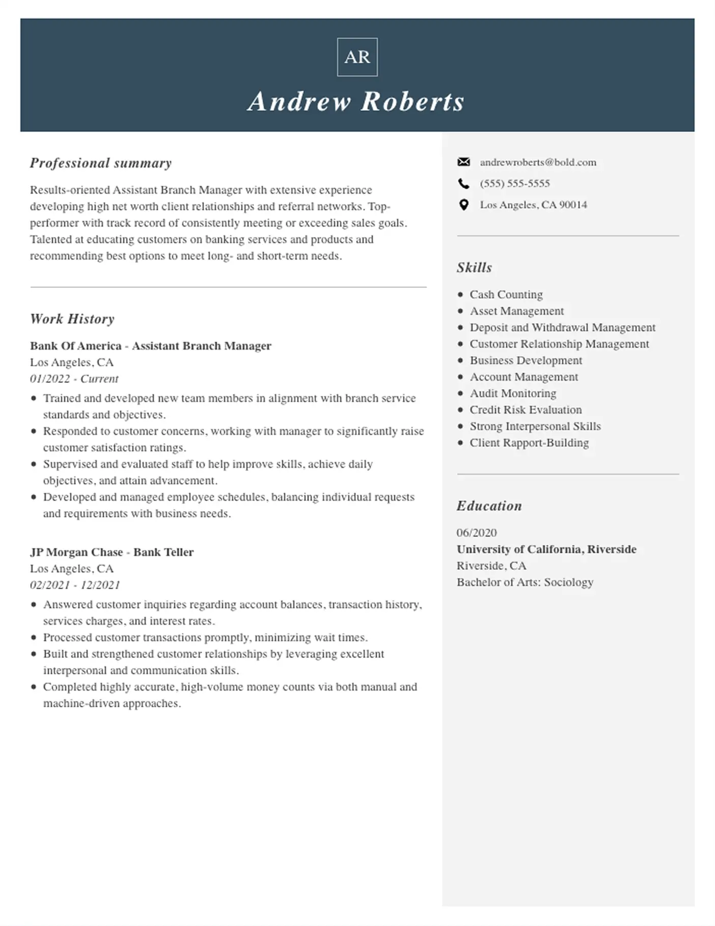 CV Example Blue