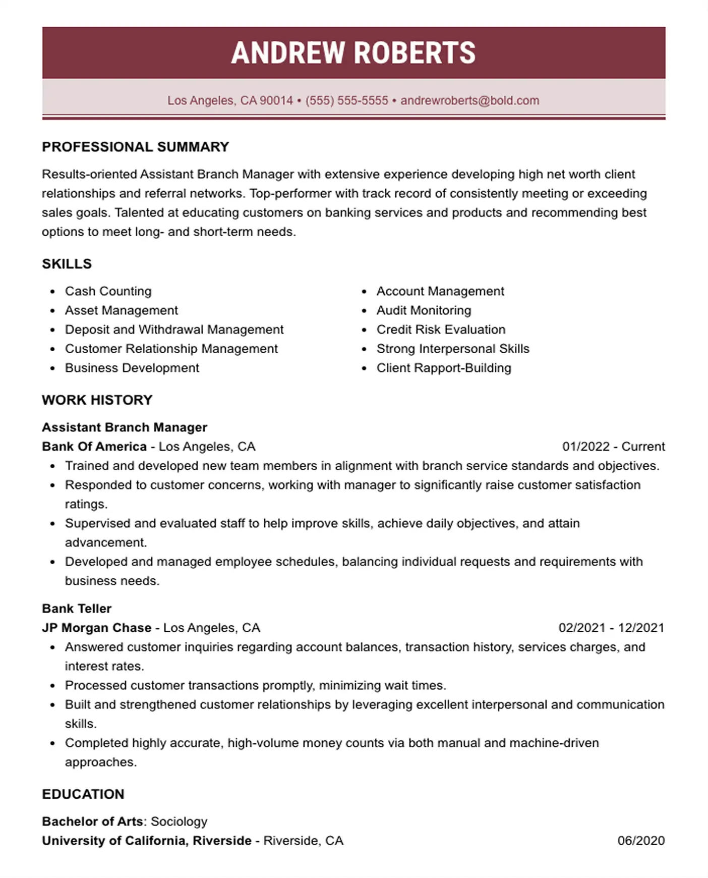 CV Example Red